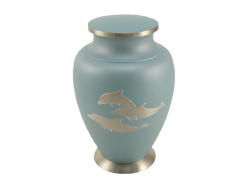 Aria Dolphin - Large