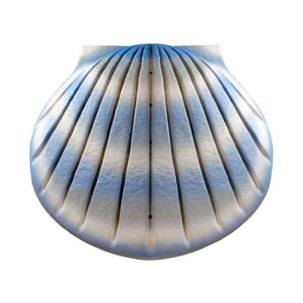 Shell Aqua