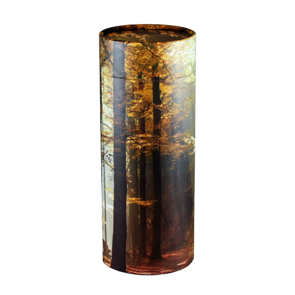 Scatter Tube Autumn Woods - Large