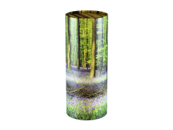 Scatter Tube Bluebell Forest - Large