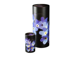 Scatter Tube Forget Me Not - Large