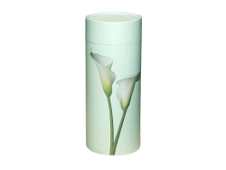 Scatter Tube Lily - Large
