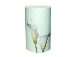 Scatter Tube Lily - Mini
