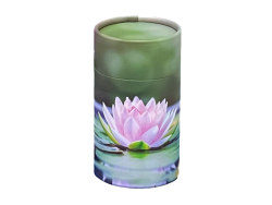 Scatter Tube Lotus - Mini