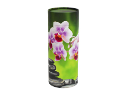 Scatter Tube Orchid - Large