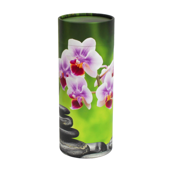 Scatter Tube Orchid - Large