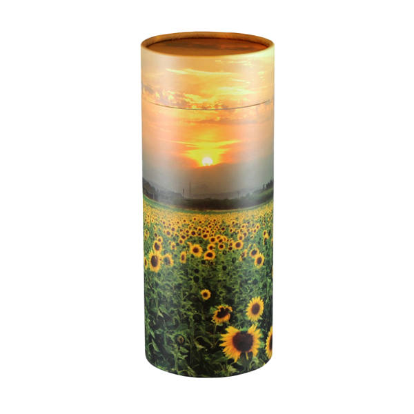Scatter Tube Sunflower - Large