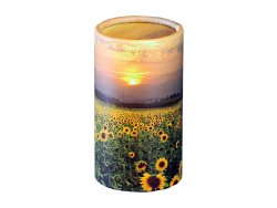 Scatter Tube Sunflower - Mini