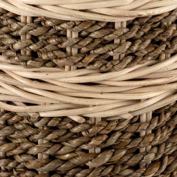 Seagrass (Dark) Scatter Tube - Large - Image 5