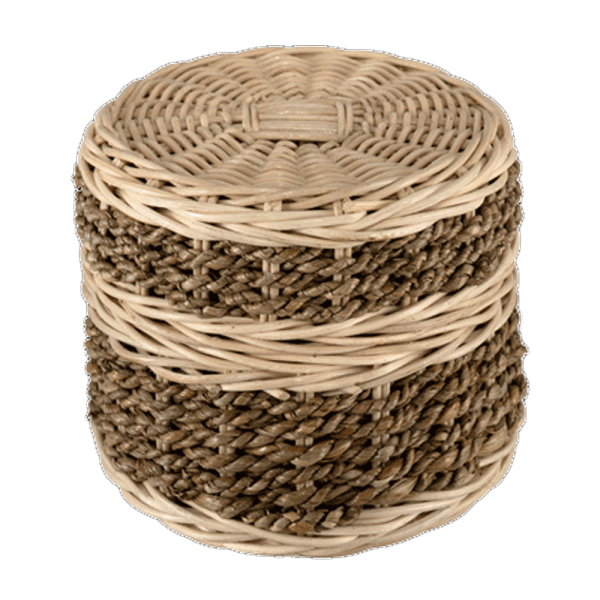 Seagrass (Dark) Scatter Tube - Medium