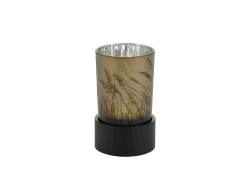Illuminate Fields Keepsake