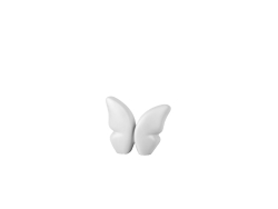 Butterfly White Small