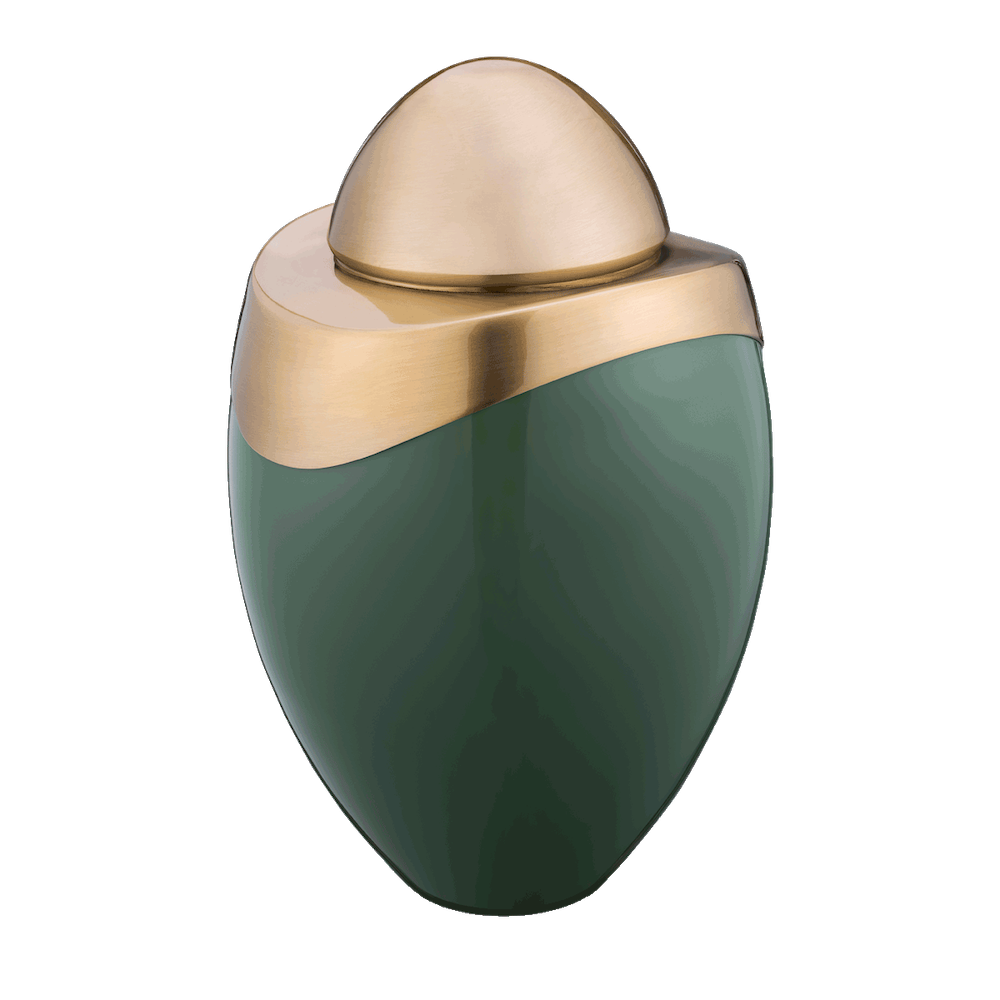 Amore Sage Green / Brushed Gold Adult