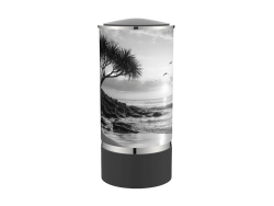Cylinder Ocean Black / Gloss Pewter Adult