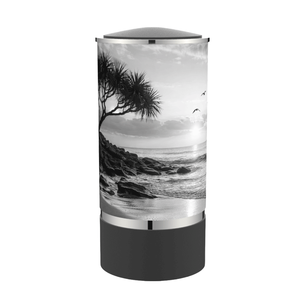 Cylinder Ocean Black / Gloss Pewter Adult