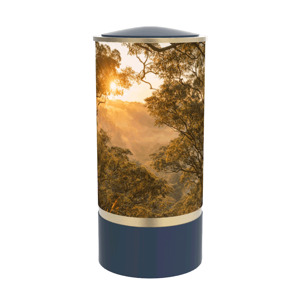 Cylinder Bushland Slate / Brushed Gold Adult